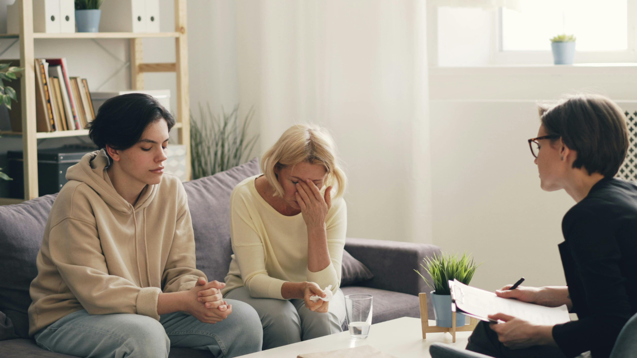 Family counseling recognizes that families are complex interconnected systems where each members thoughts feelings and behaviors influence everyone else in profound ways