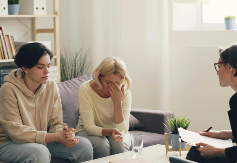 Family counseling recognizes that families are complex interconnected systems where each members thoughts feelings and behaviors influence everyone else in profound ways